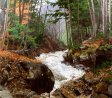 Cascading Woodland Stream